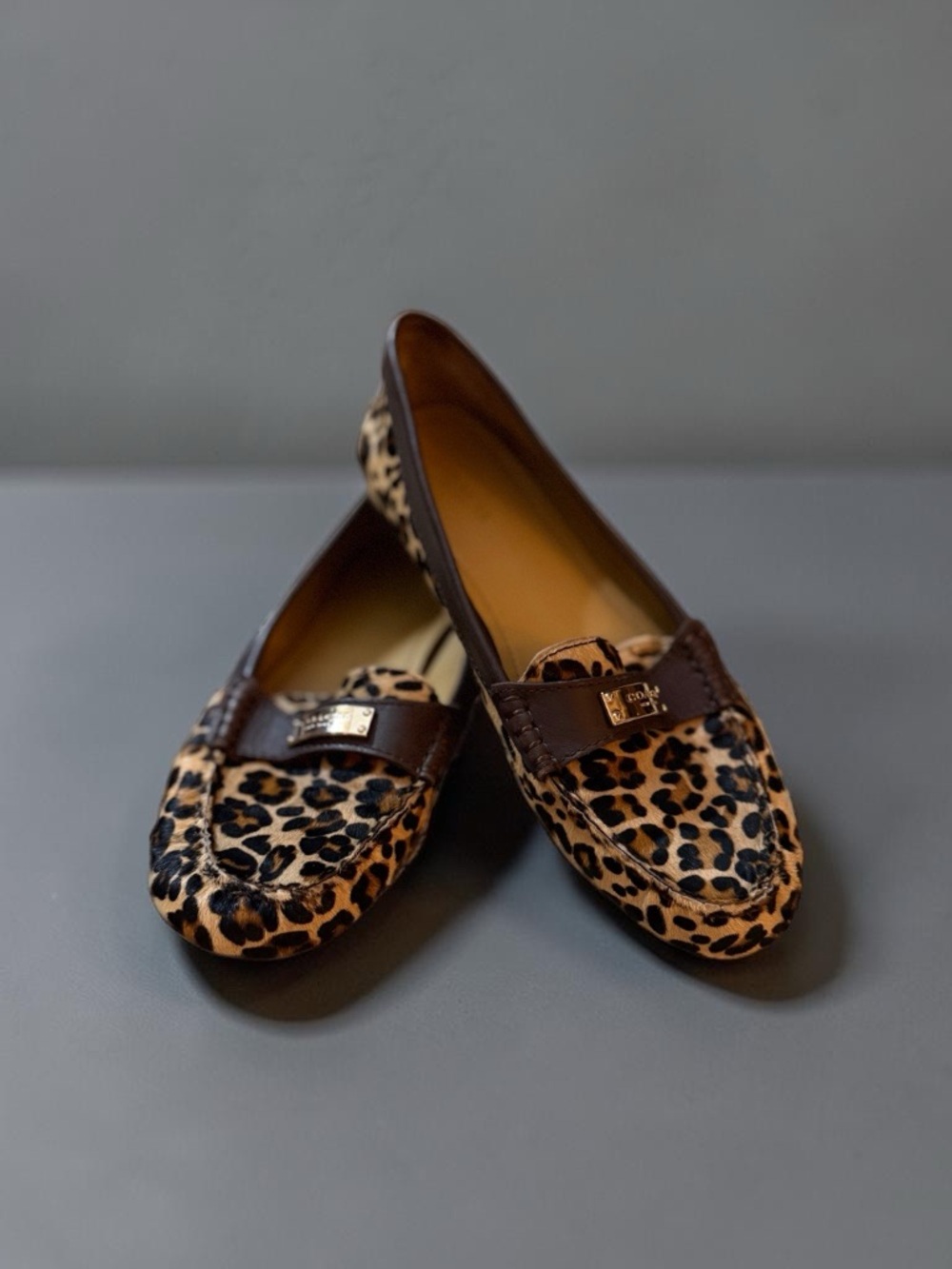 Coach Leopard-Print Loafers in Brown & Black - Picture 4 of 10